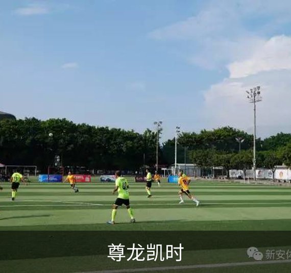 了解尊龙凯时